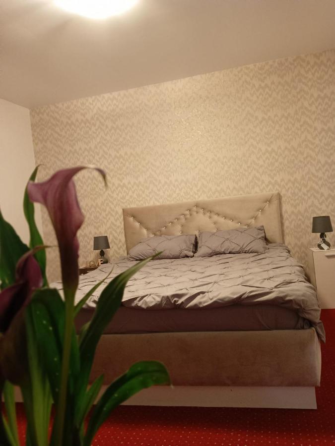 Karina House Apartment Brașov Exterior foto
