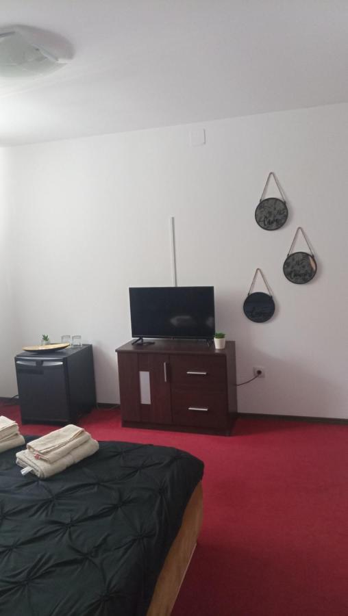 Karina House Apartment Brașov Exterior foto